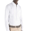 camicia harmont & blaine oxford