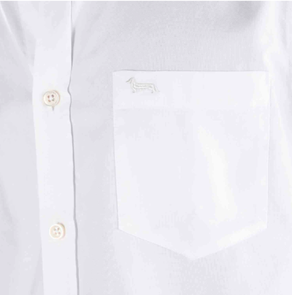 camicia harmont & blaine oxford