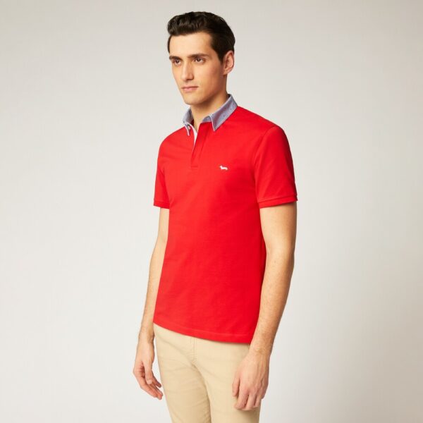 polo uomo harmont & blaine