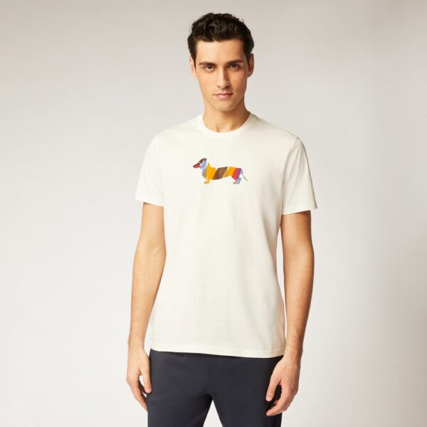 t-shirt uomo harmont & blaine